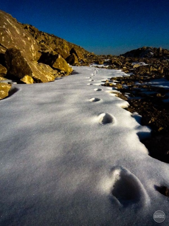 Snow Photography, Stopy