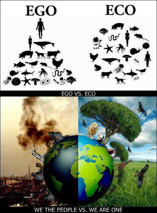 Ego vs. Eco