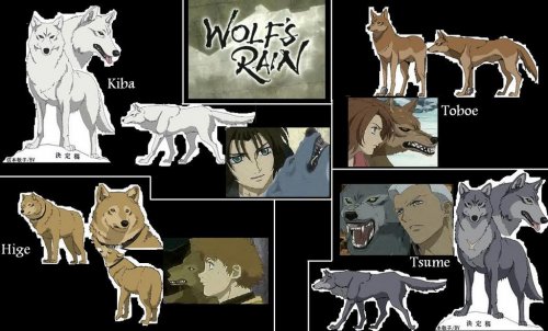 Wolfs Rain