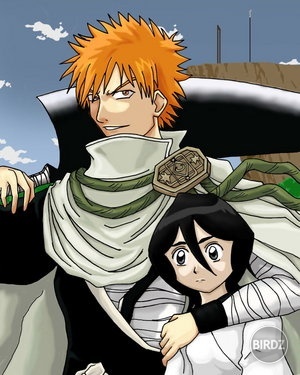 Bleach__Ichigo_and_Rukia_by_himeko