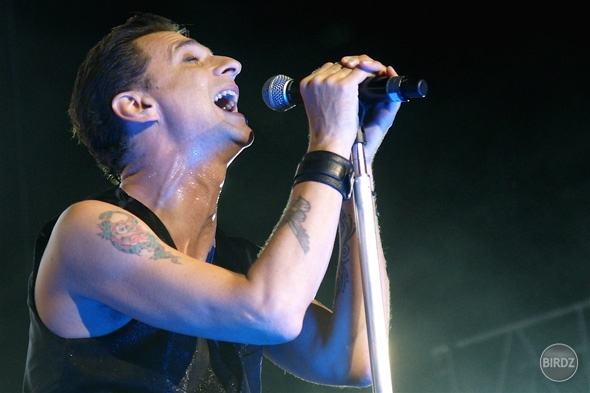 dAVE gAHAN