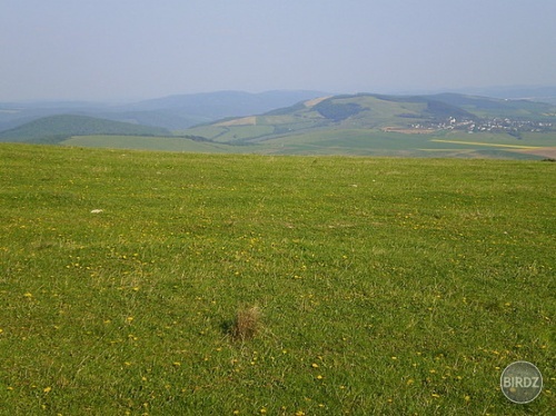 Haľagoš