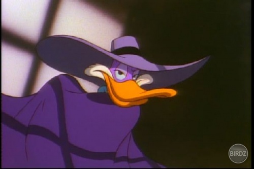 Dark Wing Duck