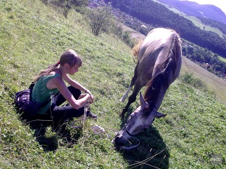 prechádzka na lonži. vyzerá to jednoducho...