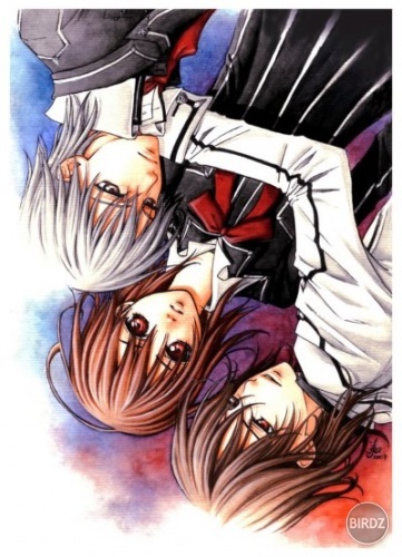 vampire-knight-1_2.jpg.tn