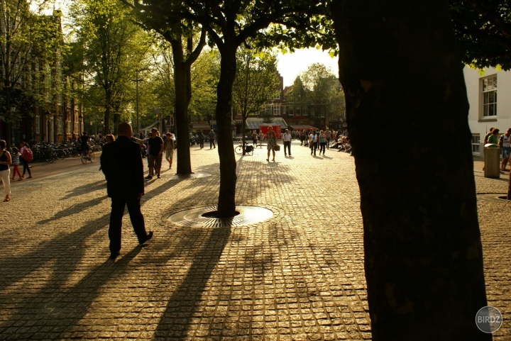 Potulky Amsterdamom. Čo sa mne osobne lúbilo, bolo to, že kamkoľvek ste sa vydali, stále tam bolo niečo zaujímavé, divné, 