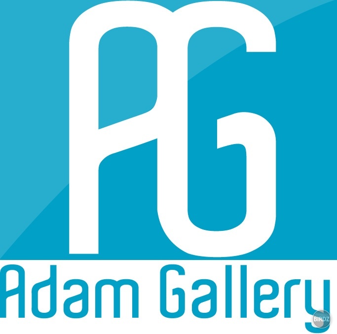 Adam Gallery logo