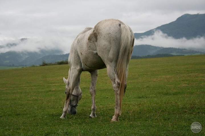 Obrázok