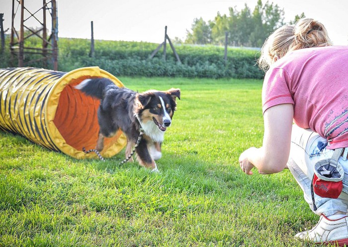  začíname s agility :)