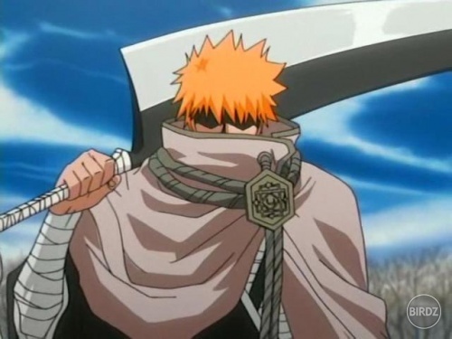 bleach_ichigo1299