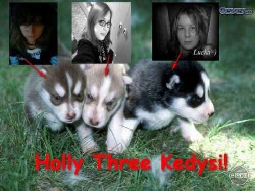 moja milovana Holly Three:D:D