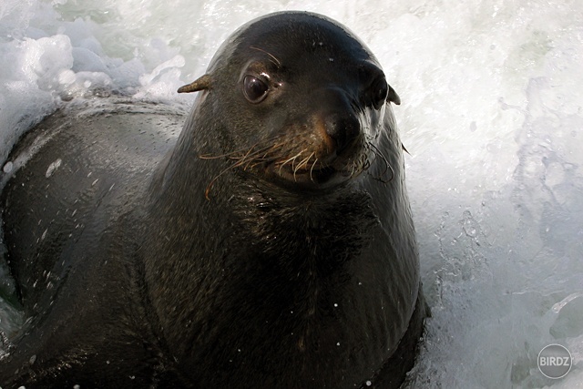 WALVIS BAY - filmár a fotograf Miro Pokorný Vás pozýva na Foto Safari do najfotogenickejšej krajiny sveta - viac info na: http://www.offroadtours.sk/fotosafari.html (Foto: Miloš Bubán Namíbia/2004)