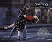 the notebook