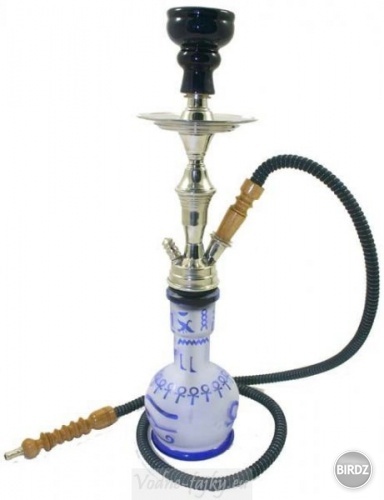 modra shisha