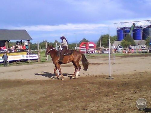 Gate race- Little Wind Dancer :)...( A ja :))