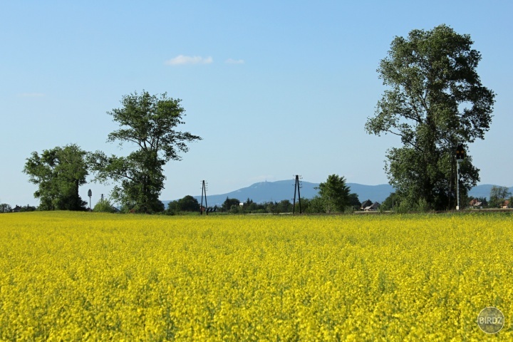 Zobor