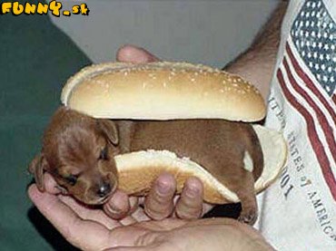 tomu hovoriiim HOTDOG....