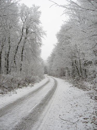 23.12.2007 - Dúbravská hlavica :)