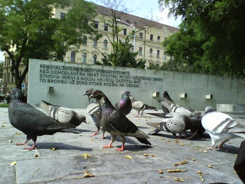 pre užívateľa s nickom hadajkto