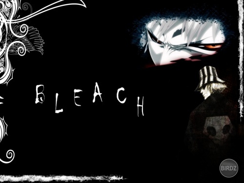 bleach-wallpaper-by-gokaichi.jpg
bleach-wallpaper-by-gokaichi