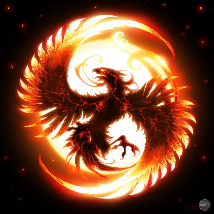 Fire Phoenix