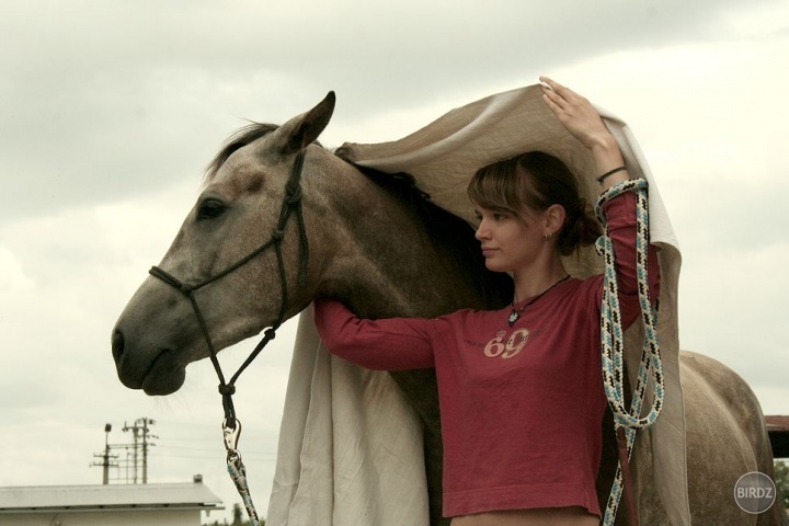 natural horsemanship - práca zo zeme