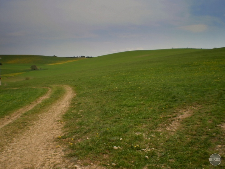 Silická planina