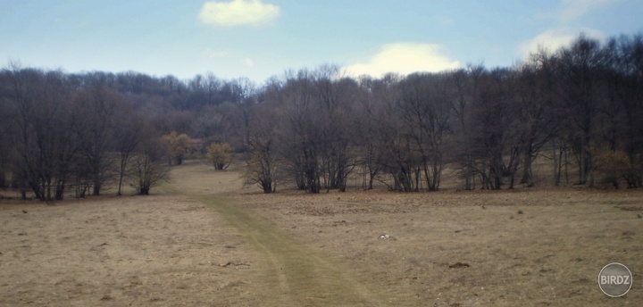 jarná planina