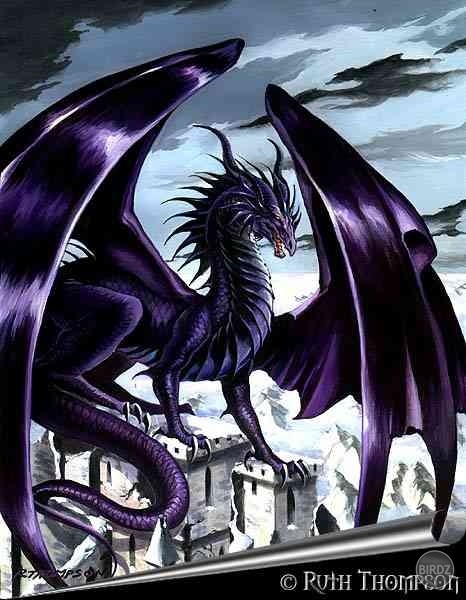 Black Dragon 