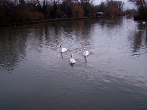 Wicksteed Park