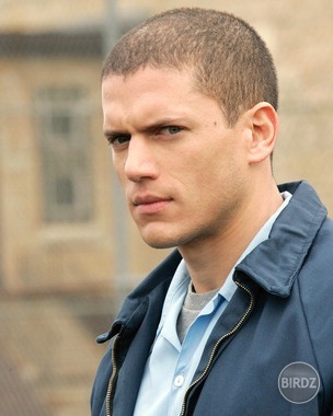 Wentworth Miller