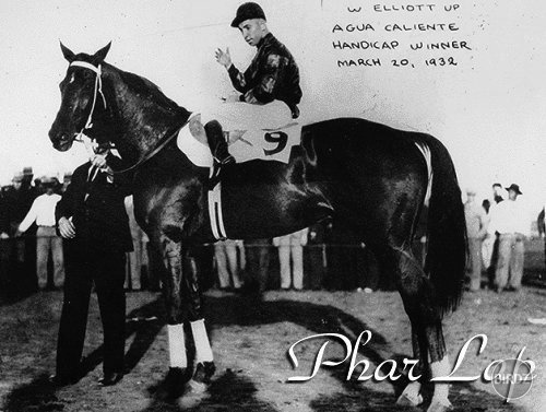 tiež Phar Lap
A pre tých ktorí nevedia kto to je: jeden legendárny kôň, ktorého obdivujem..viac vám povie film PharLap