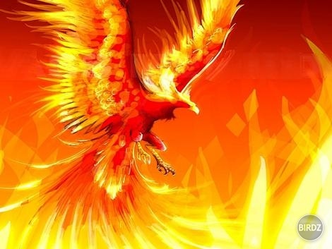 Fire Phoenix