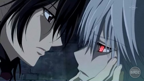 vampire-knight-13-gay-vampirism