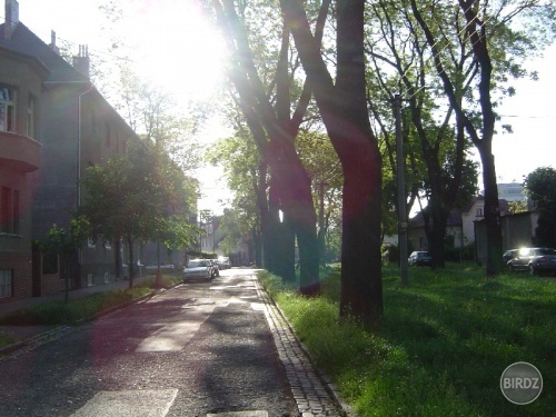 peaceful street