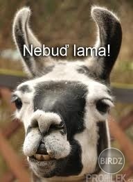 Nebuď lama!