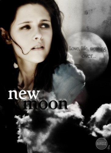 Twilight new moon :D i love :-*