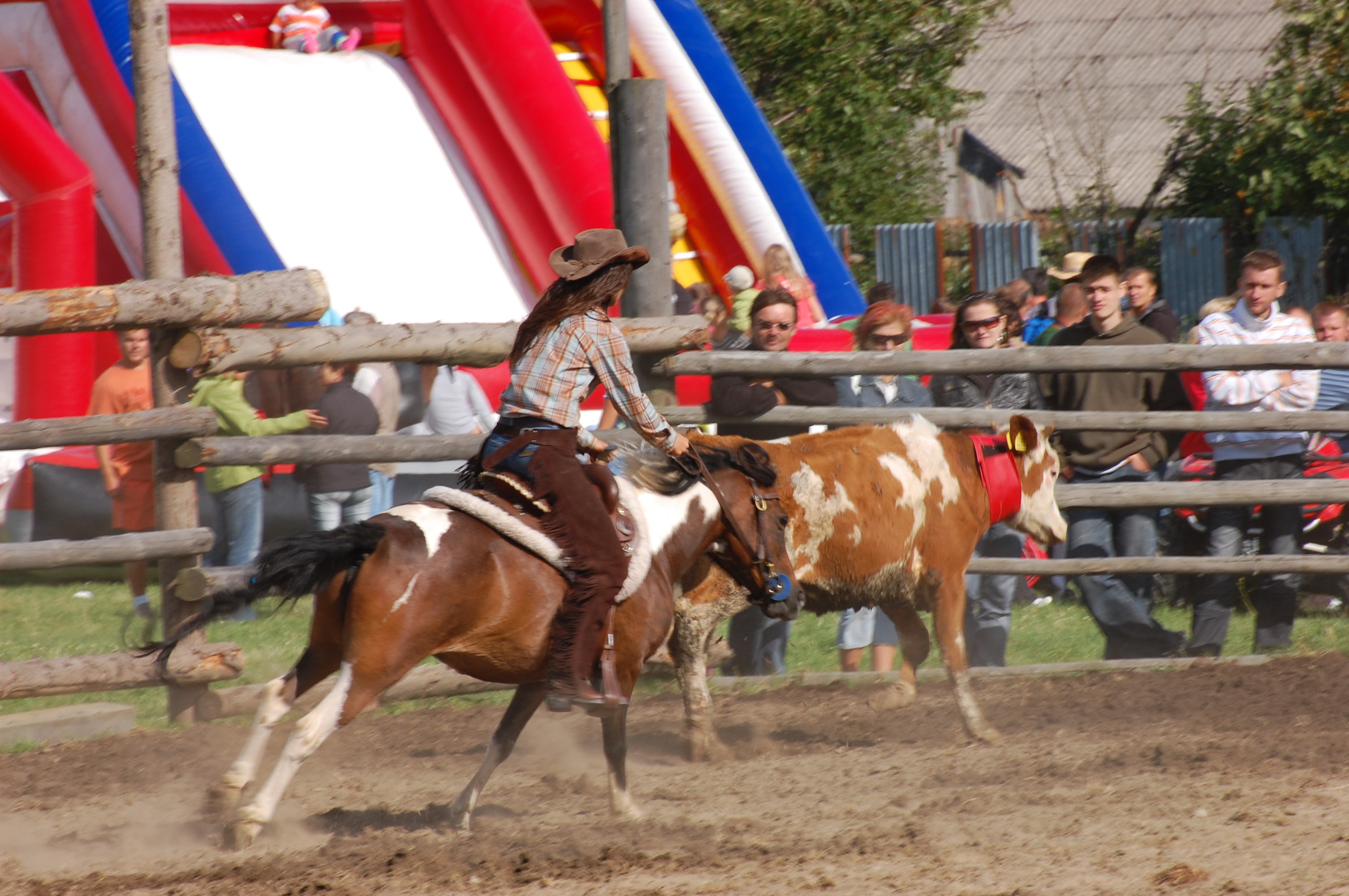 Cattle penning :)