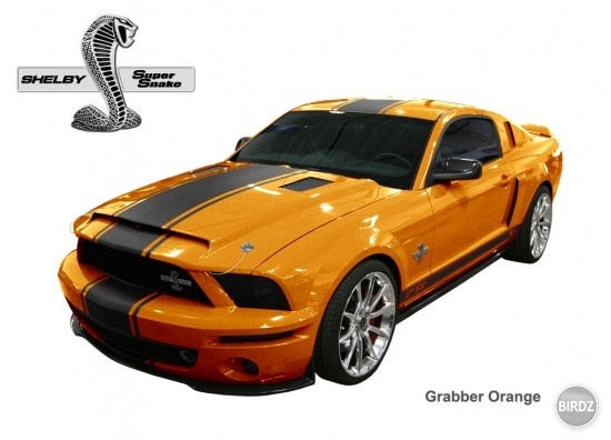shelby GT 500