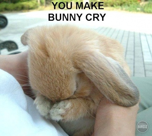 BIG RABBIT DON'T CRY:D