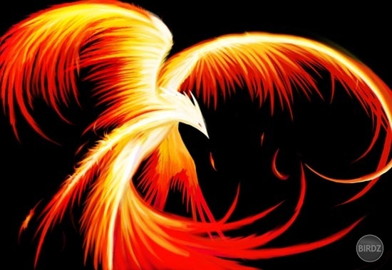 Fire Phoenix Black Background