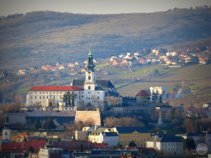 Nitra