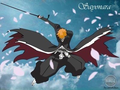 wallpapers_Bleach_zarakiken_28833.jpg
wallpapers_Bleach_zarakiken_28833