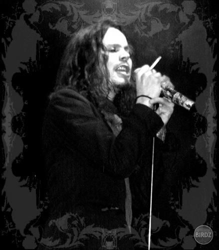 ville valo...