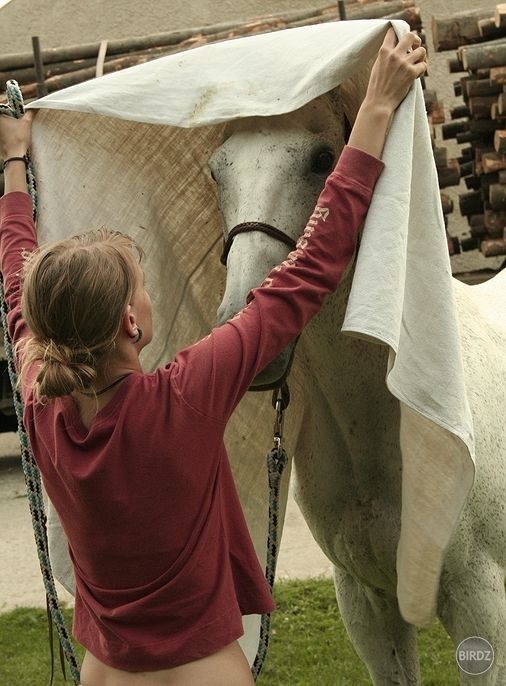 natural horsemanship - práca zo zeme