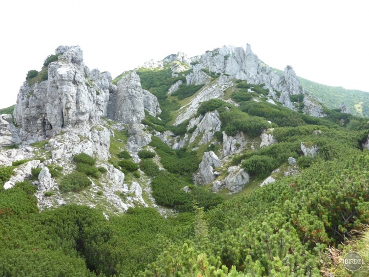 Skalne mesto na Sivom vrchu