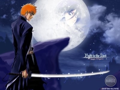 Bleach