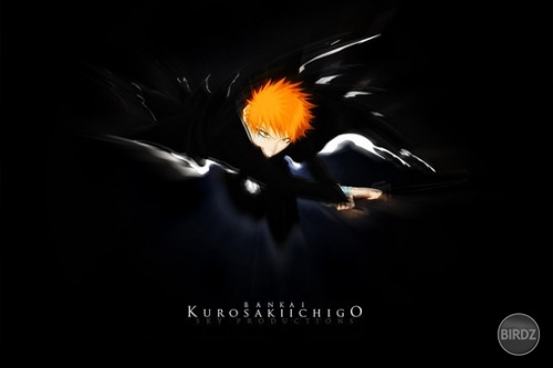 Kurosaki Ichigo