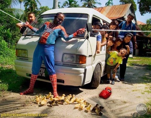 another spiderman:D:D:D???