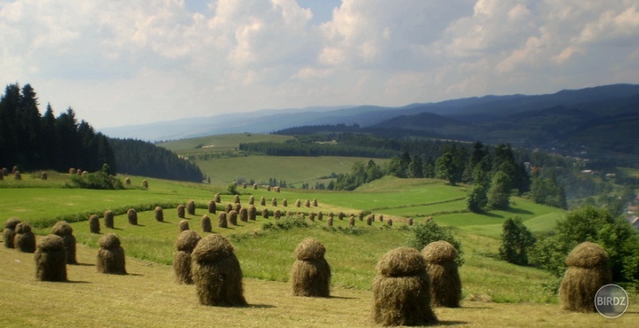 nad Haluszowou smerom na Czsortyn